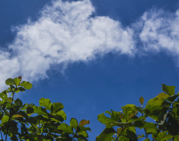 Prakiraan Cuaca Kabupaten Gresik 11 Oktober 2025: Panceng dan Sidayu Hujan Petir