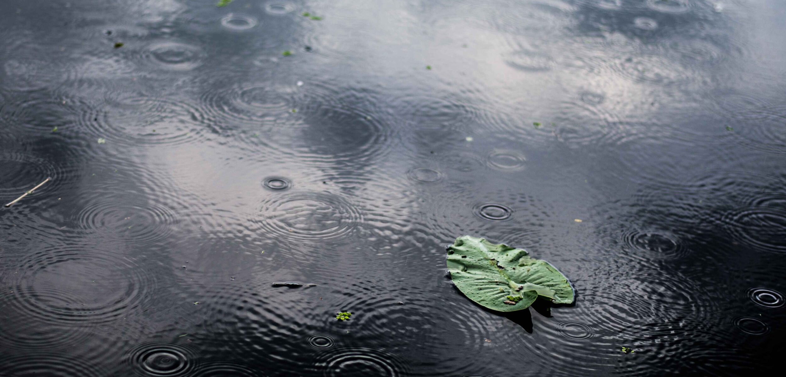 Prakiraan Cuaca Kabupaten Gresik 12 Oktober: Sangkapura dan Tambak Hujan Ringan