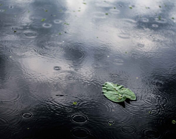 Prakiraan Cuaca Besok 27 November 2025 di Jawa Timur, Hujan Ringan Guyur Wilayah Ini