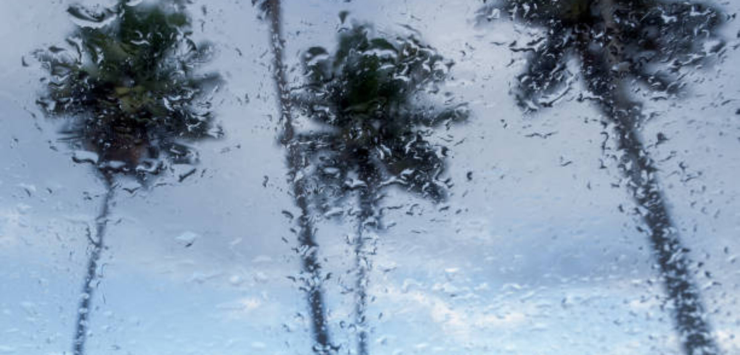 Ilustrasi prakiraan cuaca Kabupaten Lamongan hujan. (iStock)