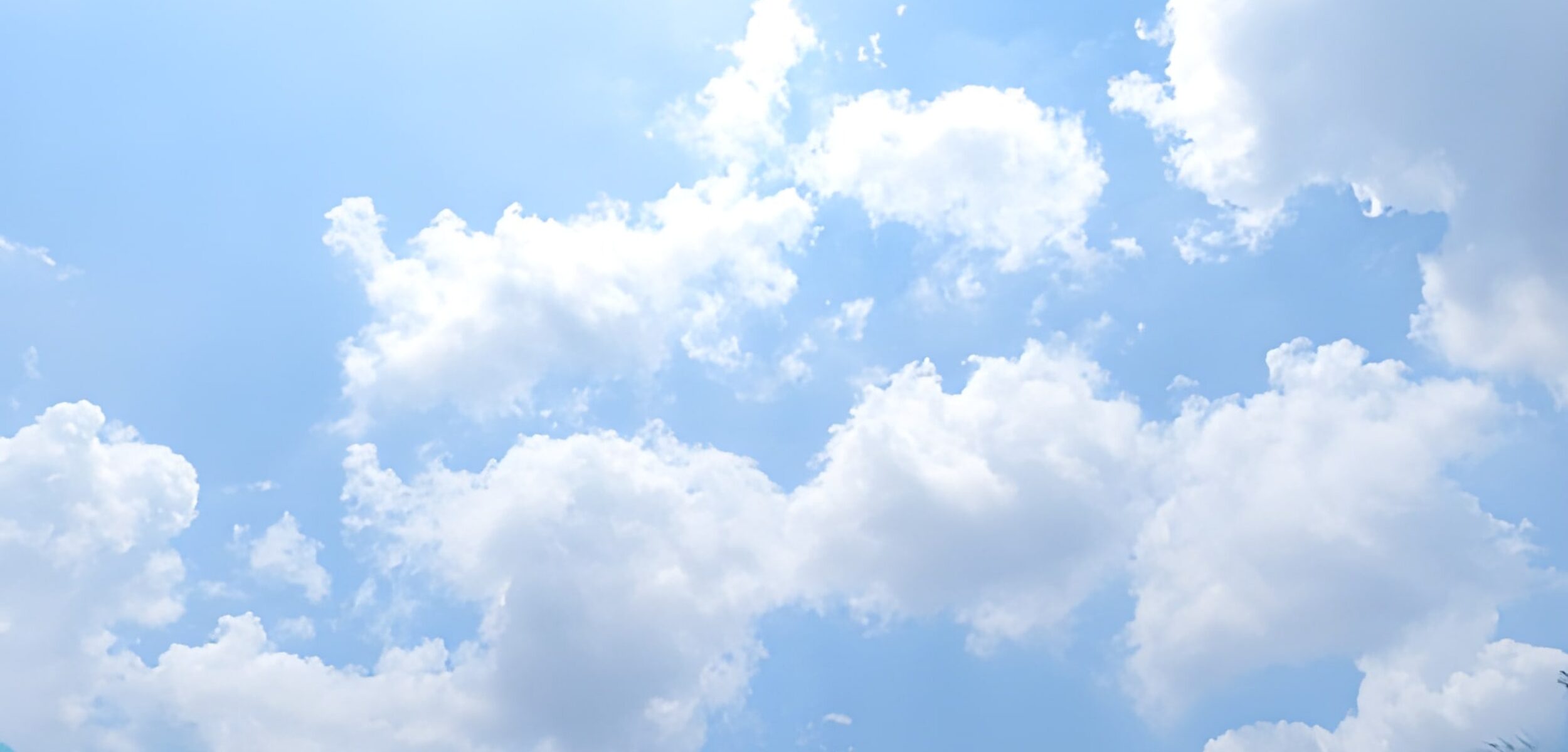 prakiraan cuaca surabaya besok