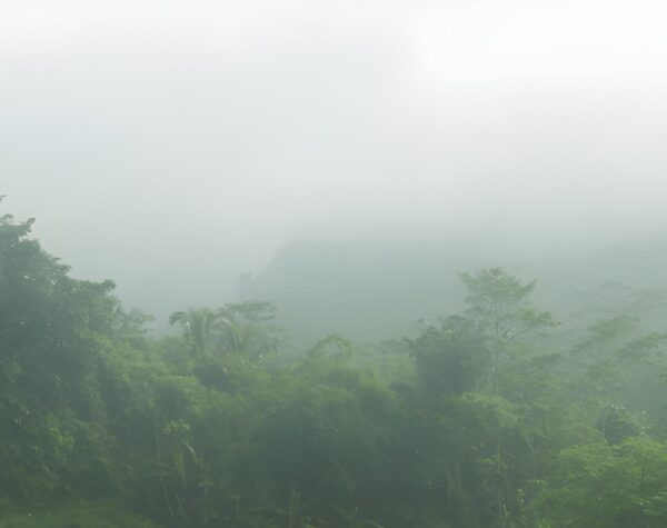 Cuaca Kota Batu Besok (30/12) Awas Jalan Berkabut