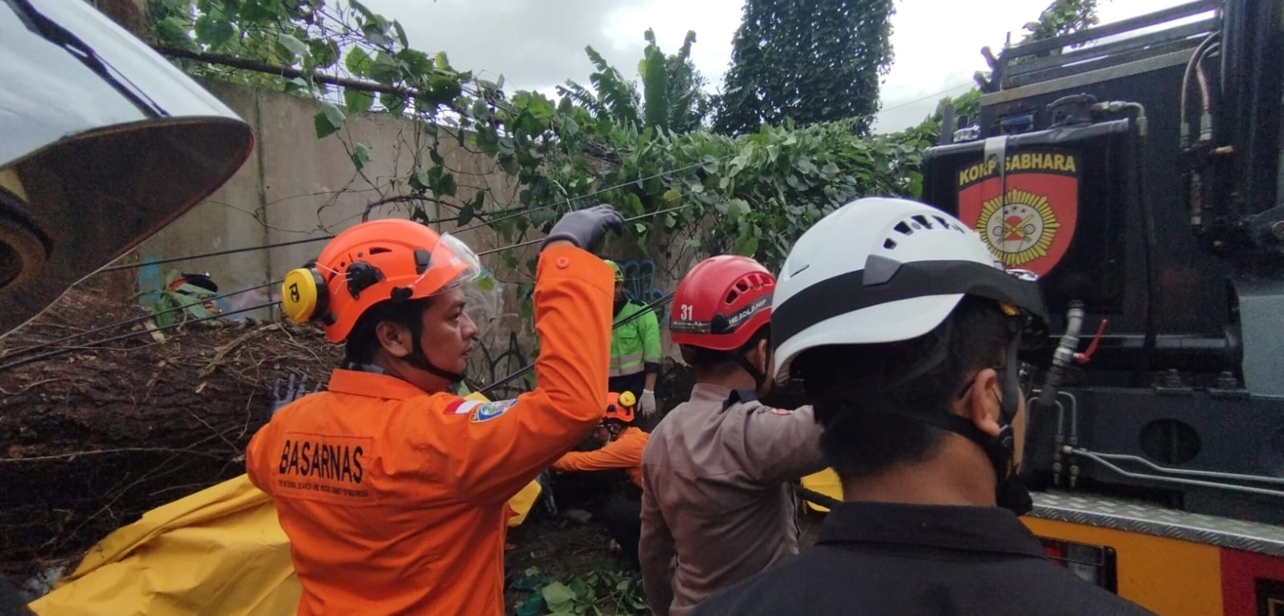 Tim Basarnas melakukan evakuasi pohon tumbang yang menyebabkan dua orang tewas di Sleman, Jumat (21/11/2025). (Basarnas Yogyakarta for kabarterdepan.com)