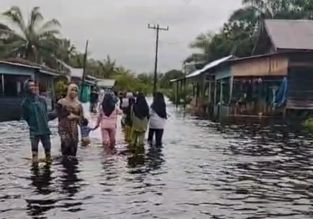 Screenshot 20251125 090909 1 Kondisi banjir di Madina. (suhartono/kabarterdepan.com)