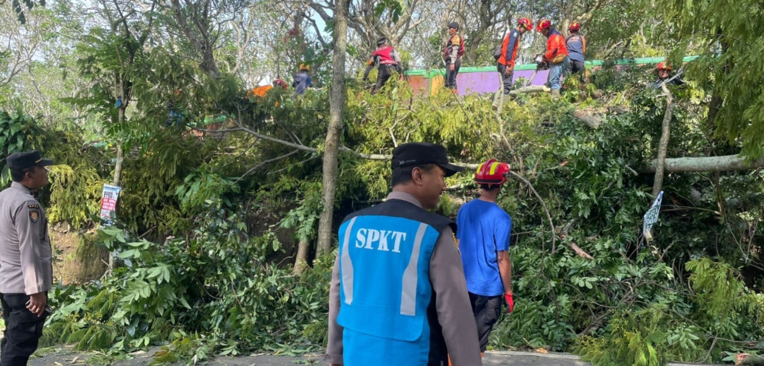 Screenshot 20251128 203844 2 Petugas kompak bersihkan sisa-sisa pohon tumbang di Kota Batu