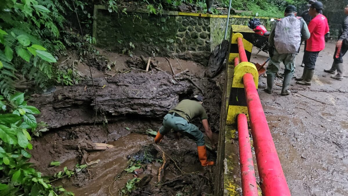 WhatsApp Image 2025 11 05 at 10.50.00 AM 1