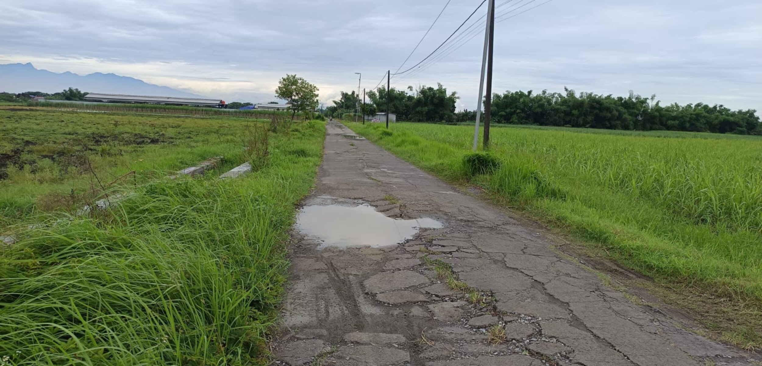 Jalan rusak di Desa Balong Jati, Kecamatan Kemlagi, Kabupaten Mojokerto