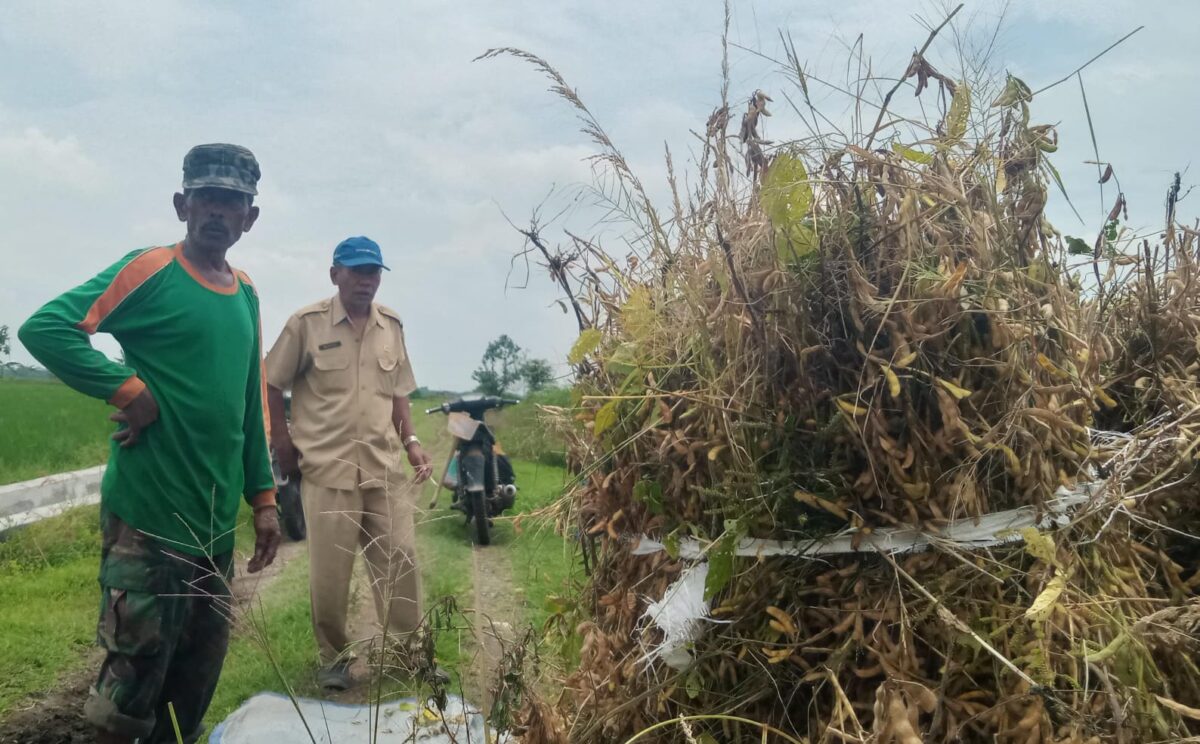 WhatsApp Image 2025 11 13 at 7.35.14 AM