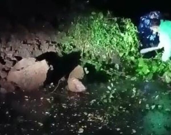 Longsor di Cembor Pacet Tutup Akses Jalan Pacet–Trawas, Kini Sudah Bisa Dilalui Bergantian