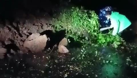 Kondisi material longsor.