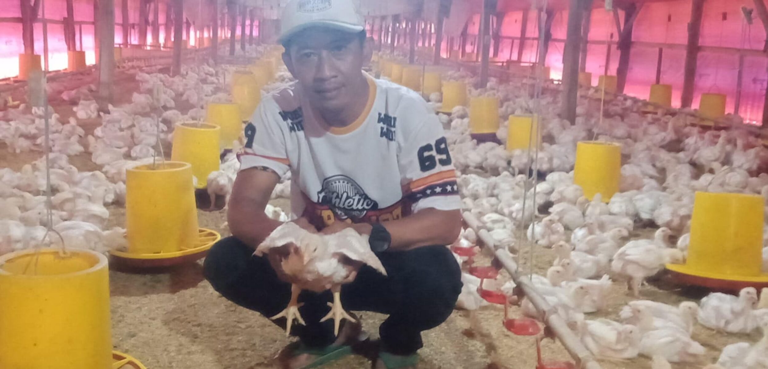 WhatsApp Image 2025 11 17 at 7.31.45 AM