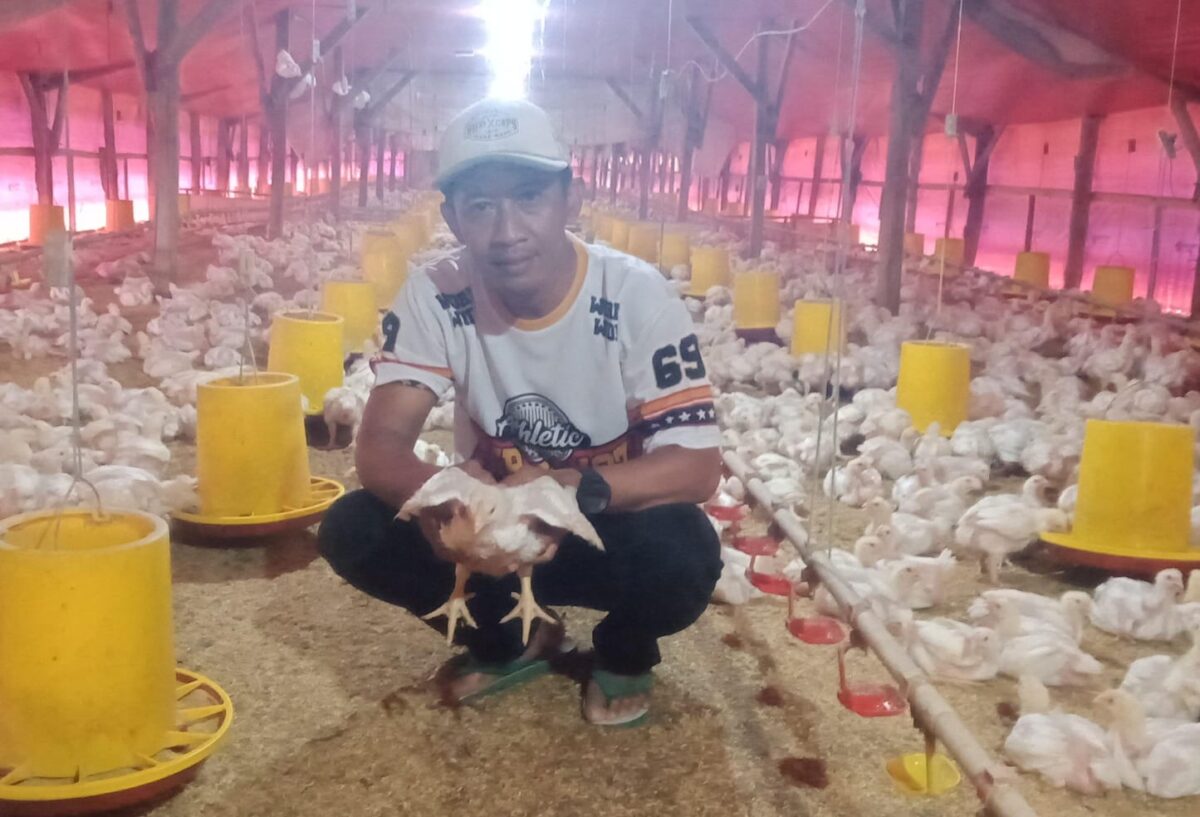 WhatsApp Image 2025 11 17 at 7.31.45 AM 1 cuaca ekstrem