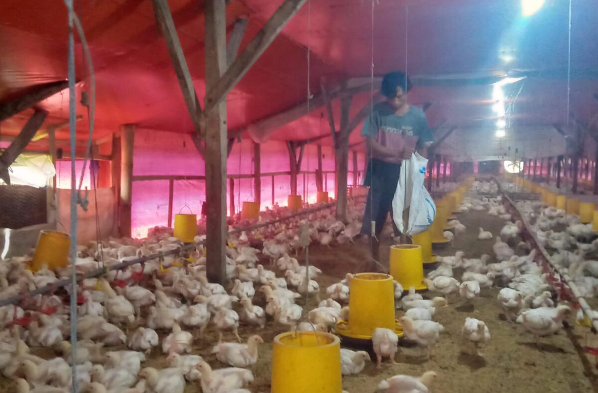 WhatsApp Image 2025 11 17 at 7.31.46 AM 2 WhatsApp Image 2025 11 17 at 7.31.46 AM