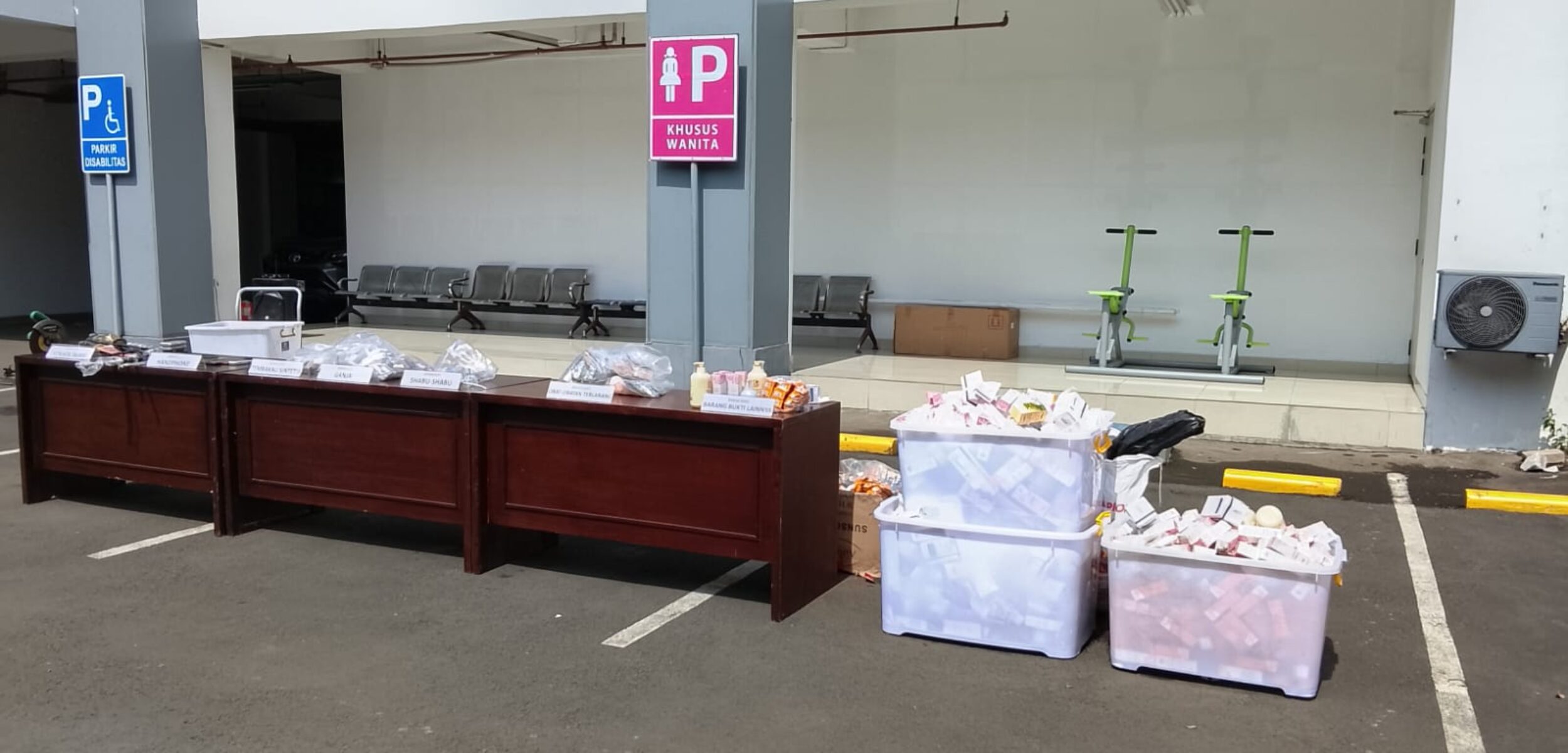 WhatsApp Image 2025 11 19 at 12.44.56 PM