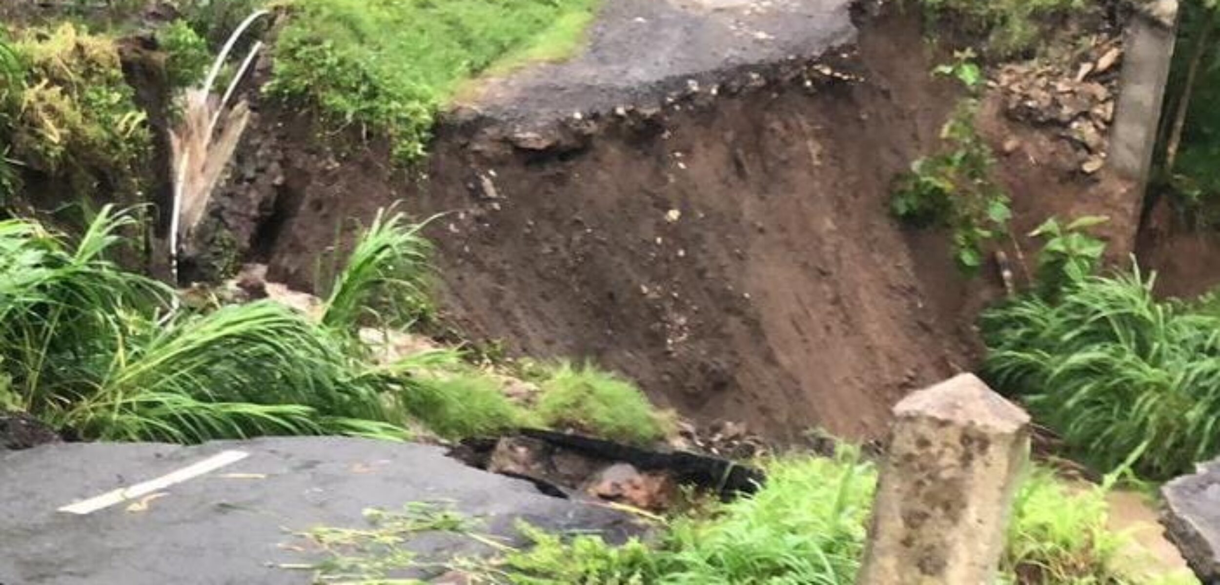 WhatsApp Image 2025 11 22 at 7.32.25 AM