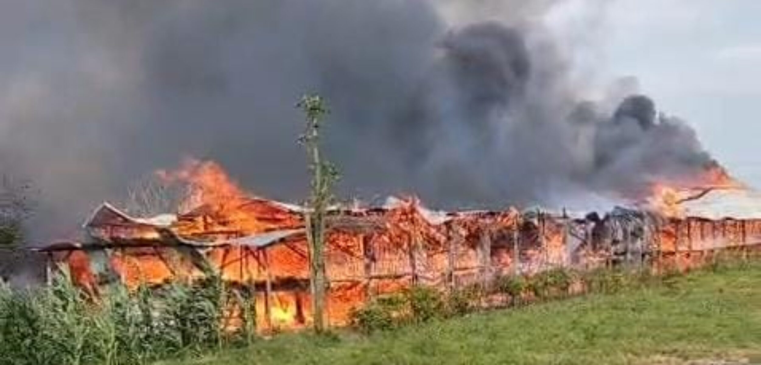 WhatsApp Image 2025 11 26 at 3.54.21 PM