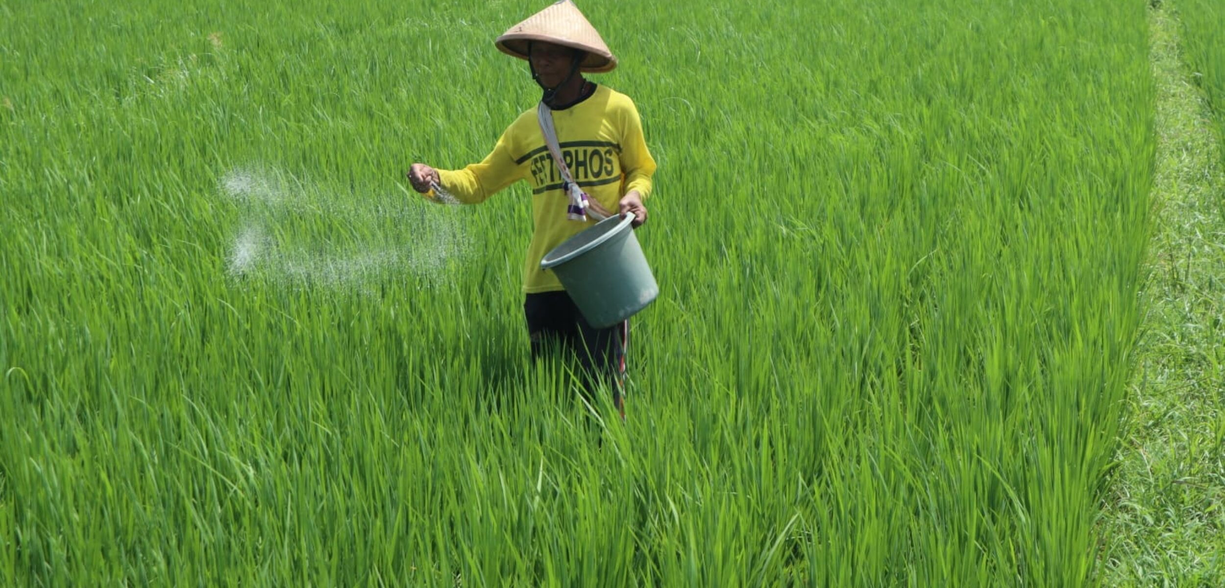 WhatsApp Image 2025 11 26 at 9.48.36 AM