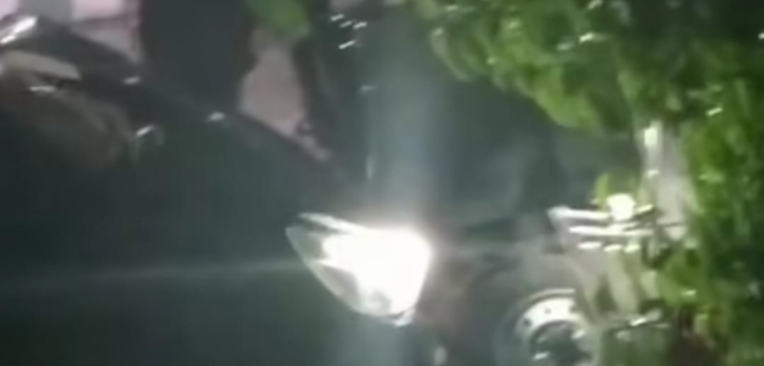 WhatsApp Image 2025 11 27 at 1.37.53 PM