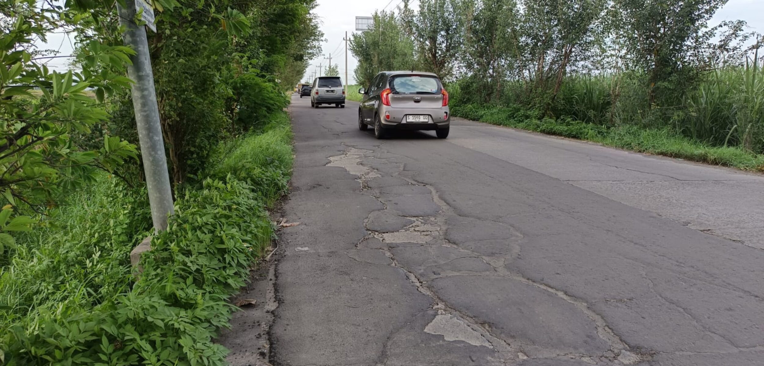 WhatsApp Image 2025 11 27 at 8.55.51 AM