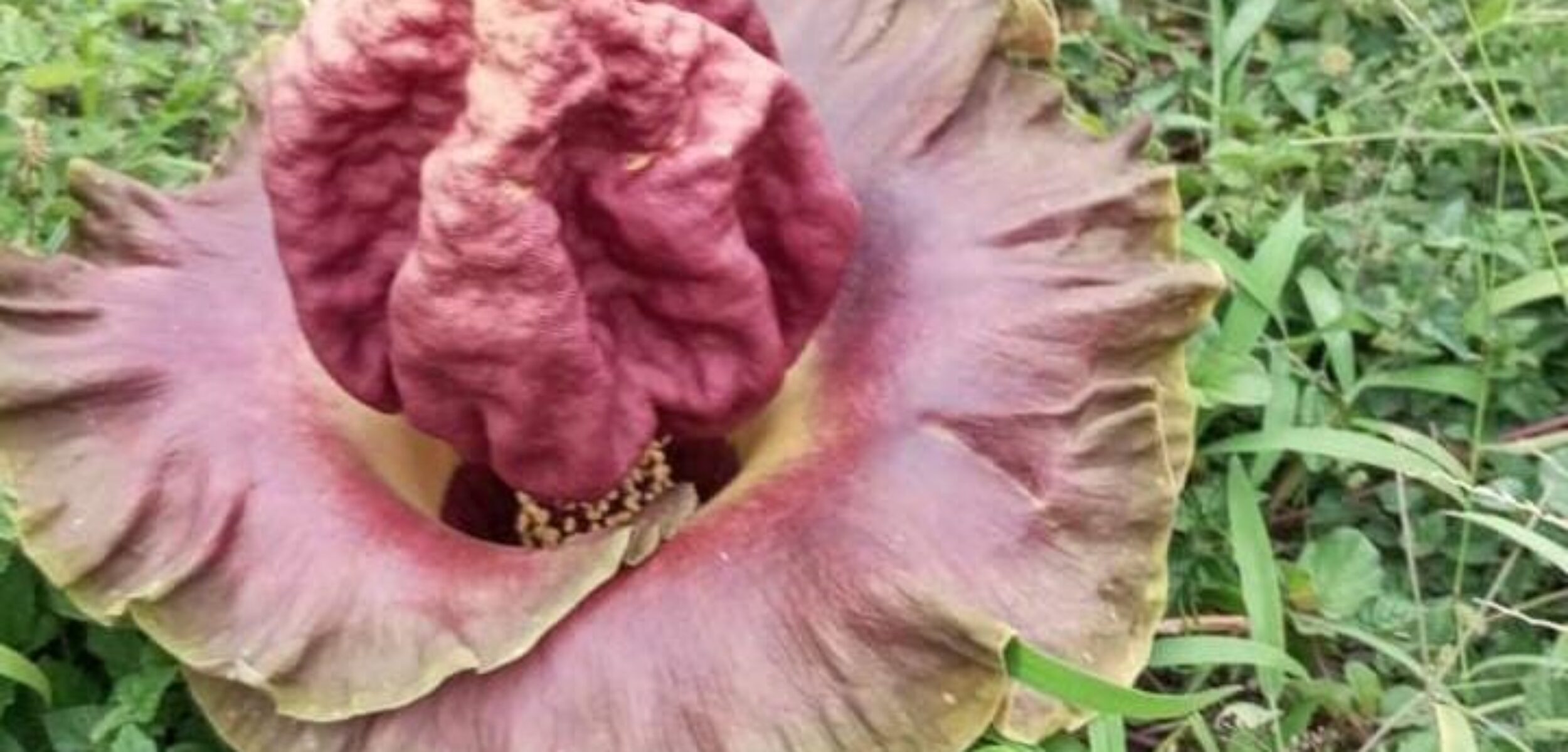 WhatsApp Image 2025 11 28 at 12.33.26 PM e1764309407808