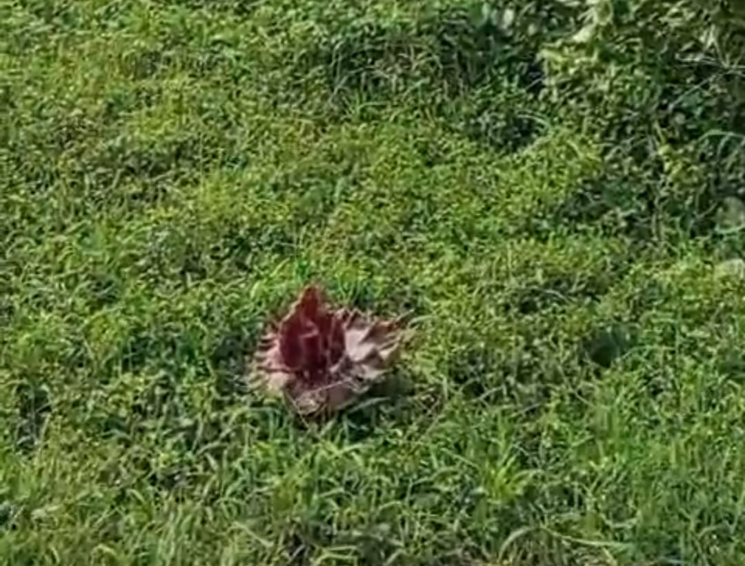 WhatsApp Image 2025 11 28 at 12.34.51 PM