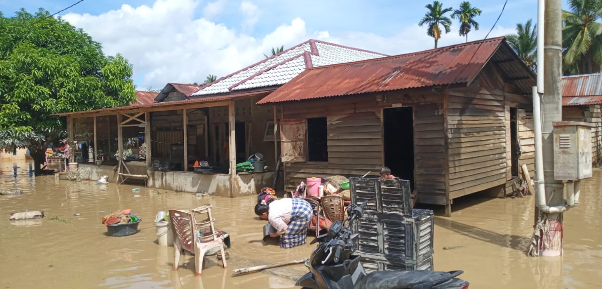 WhatsApp Image 2025 11 30 at 2.28.47 PM