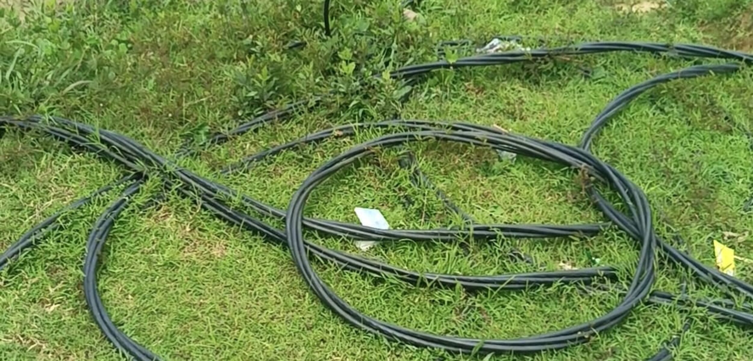 PLN Sampang Pilih Bungkam Sola Fakta Kabel Berserakan dan Trafo Raib di Desa Bajrasokah