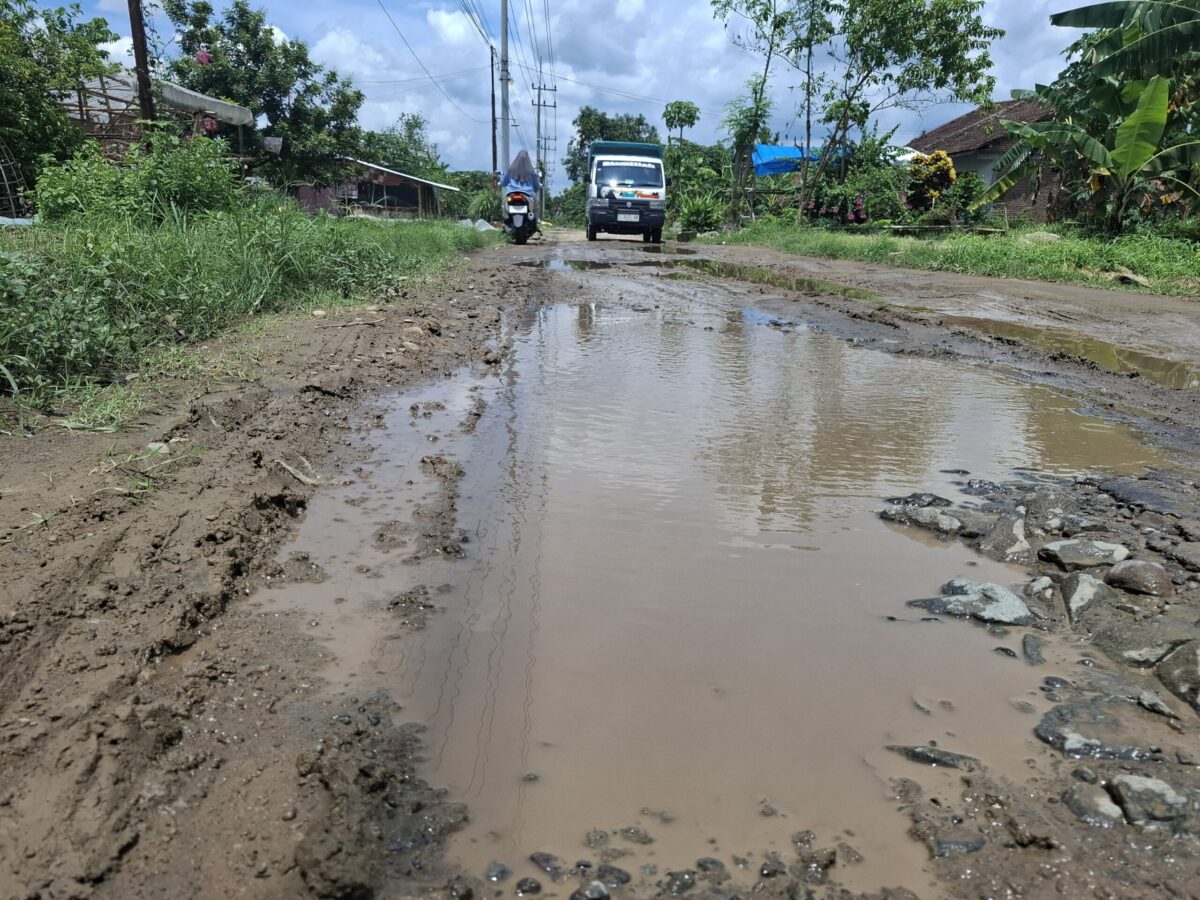 Kondisi jalan rusak di Desa Jatigedog, Jombang. (Karimatul Maslahah/Kabarterdepan.com)