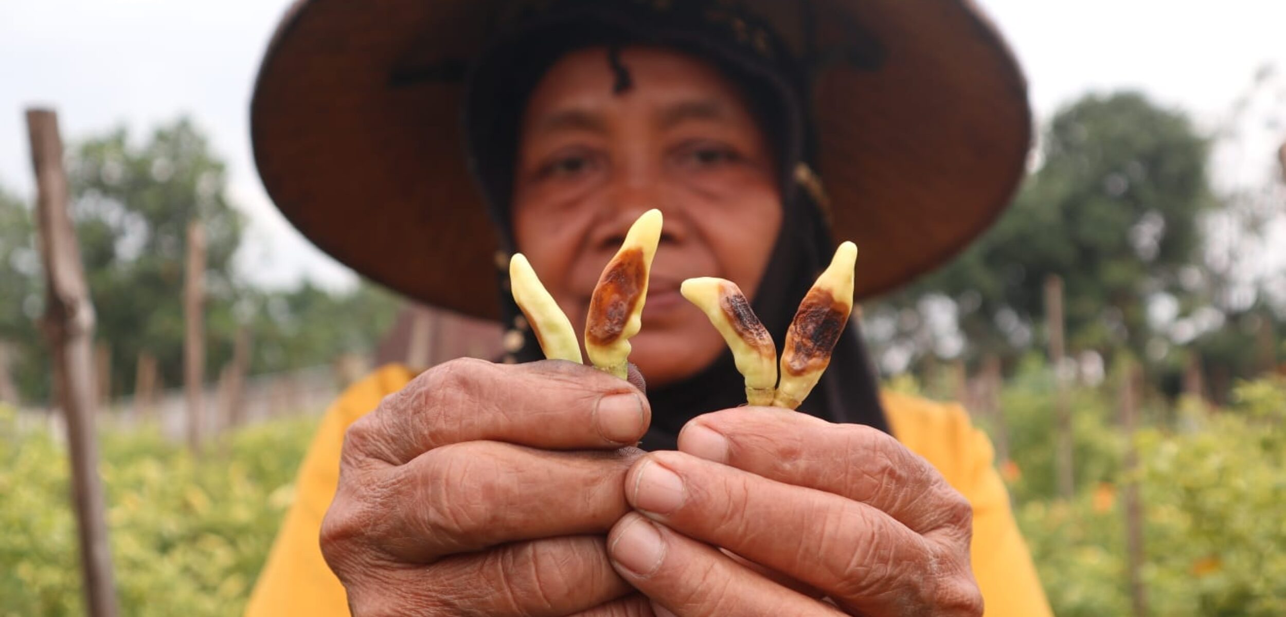 WhatsApp Image 2025 12 01 at 12.32.58 PM