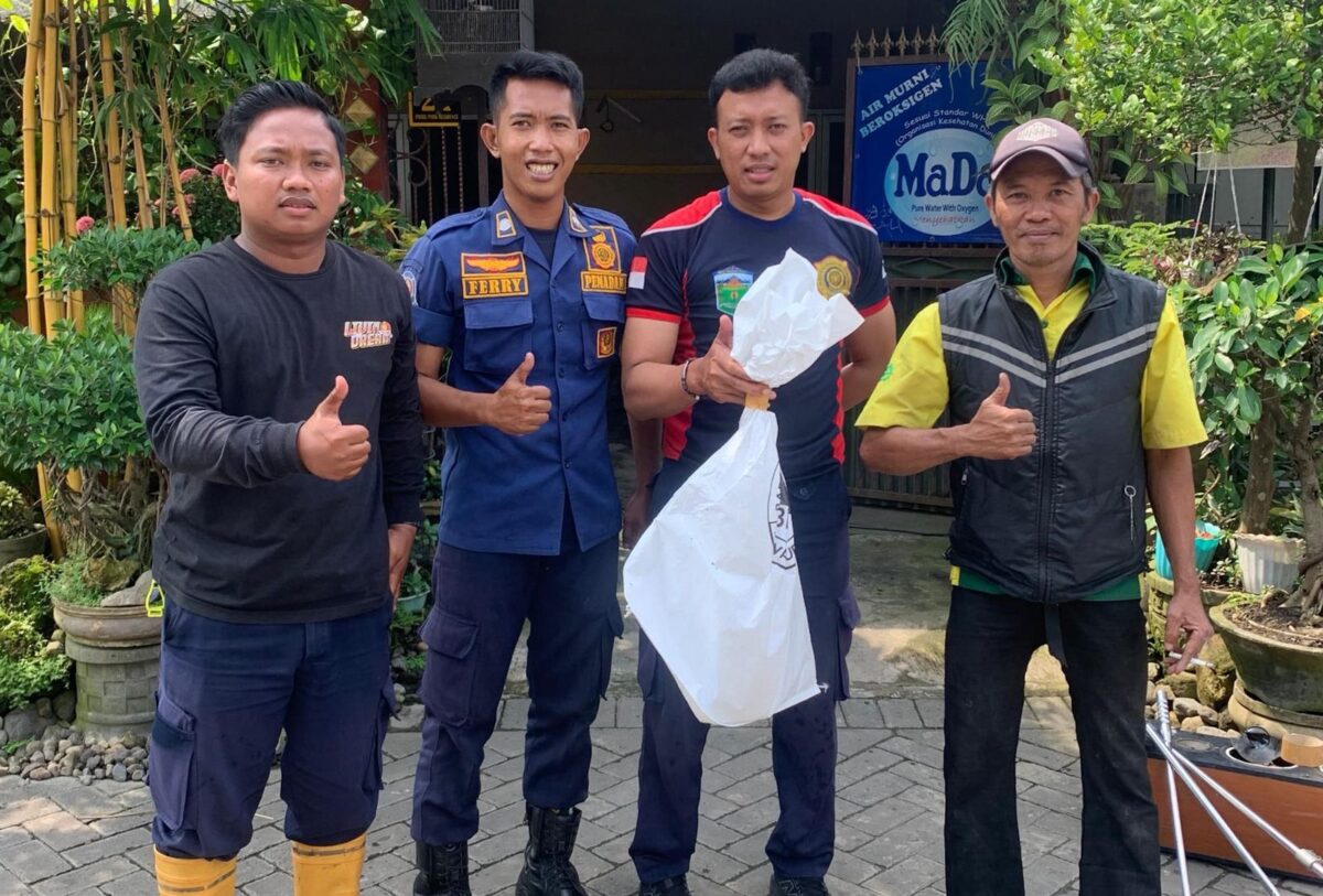 WhatsApp Image 2025 12 01 at 3.13.00 PM 1 2 WhatsApp Image 2025 12 01 at 3.13.00 PM 1