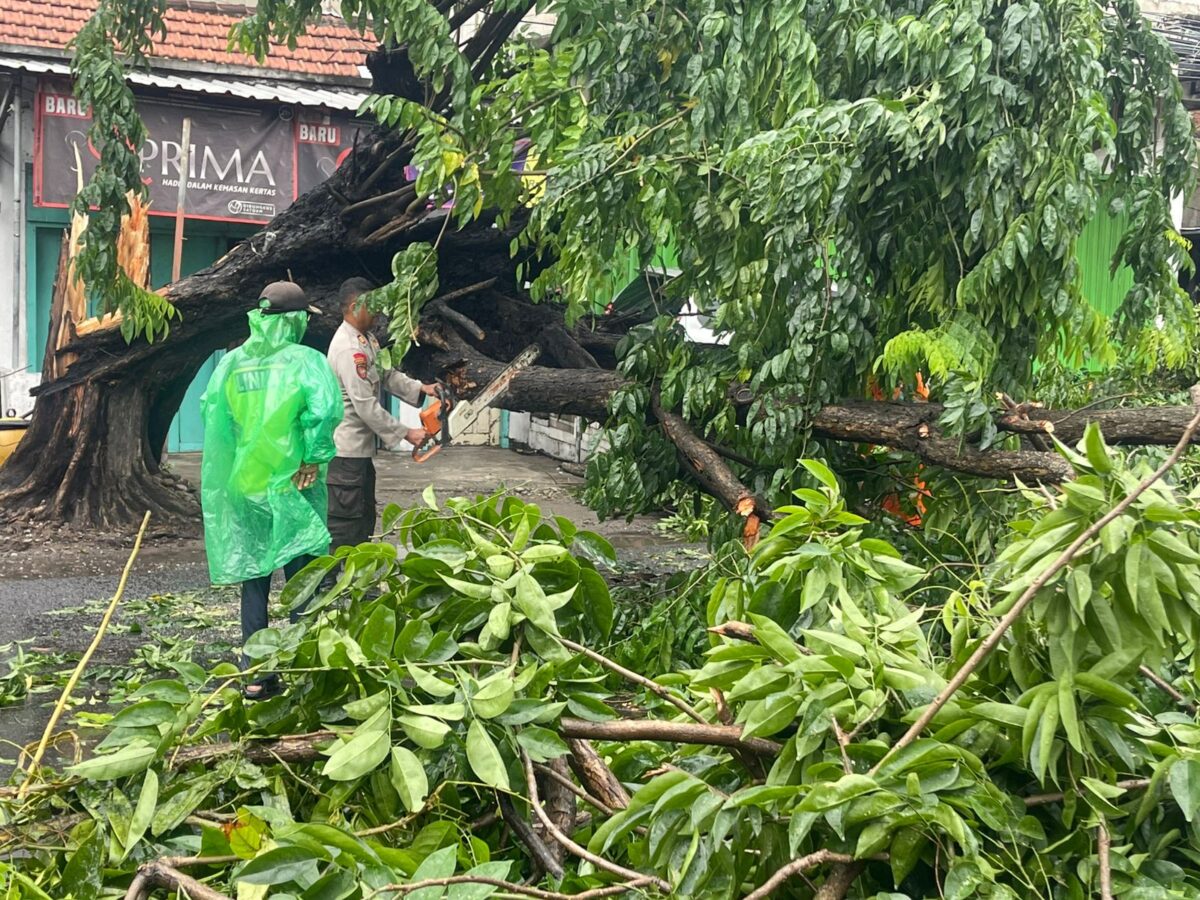 WhatsApp Image 2025 12 01 at 9.23.06 AM