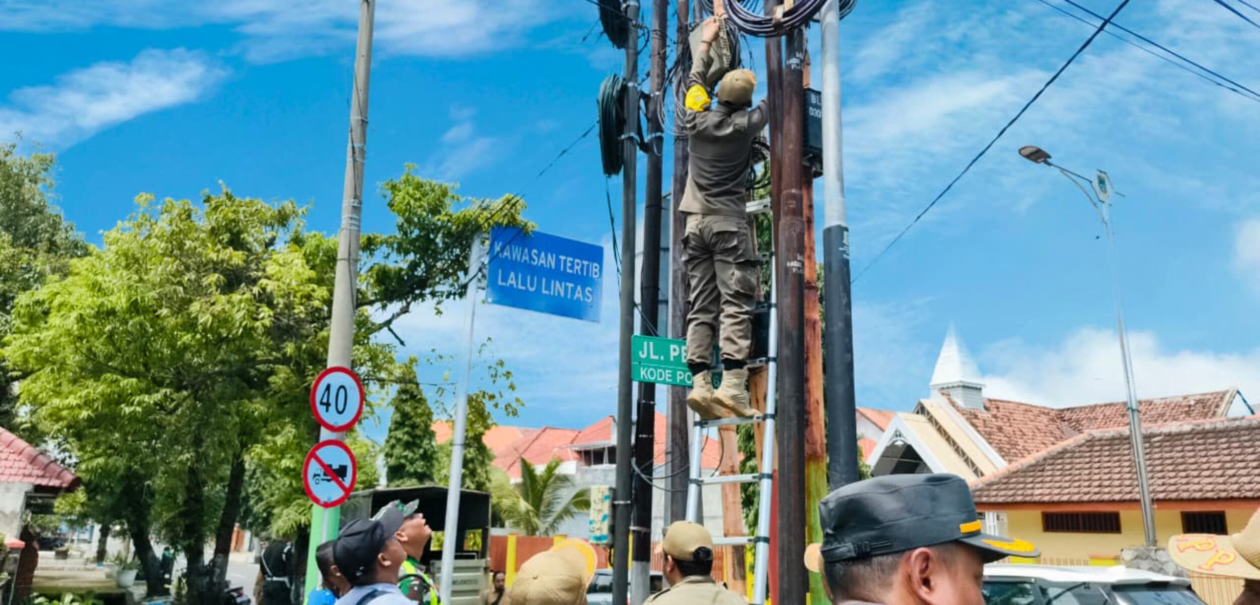 WhatsApp Image 2025 12 02 at 1.14.27 PM