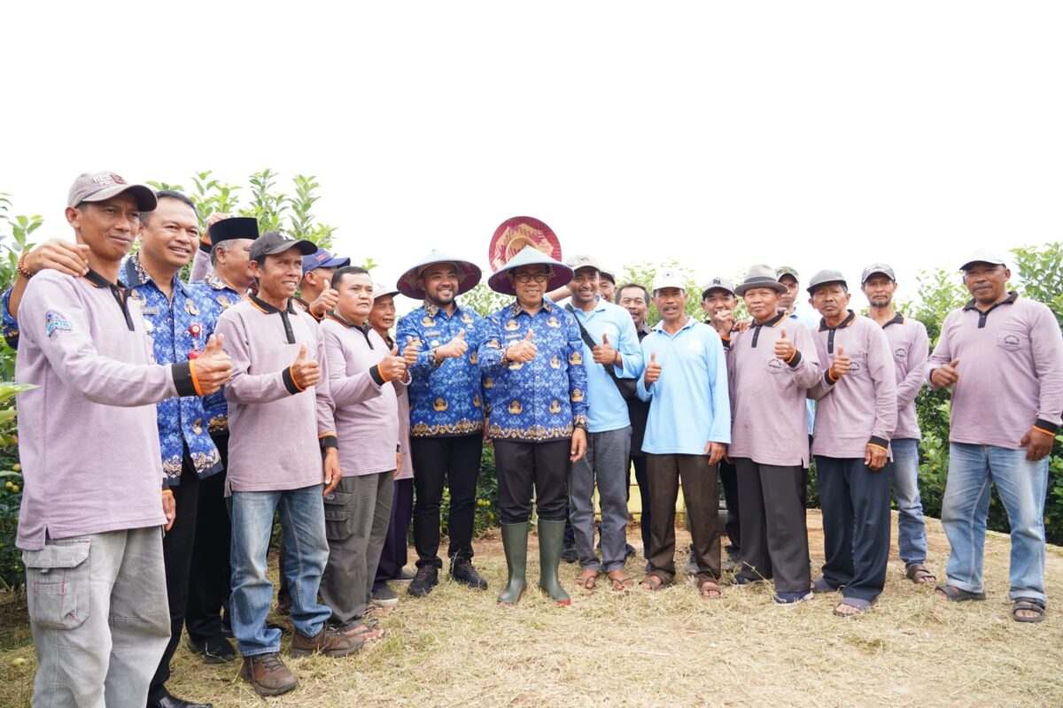 WhatsApp Image 2025 12 02 at 1.41.30 PM