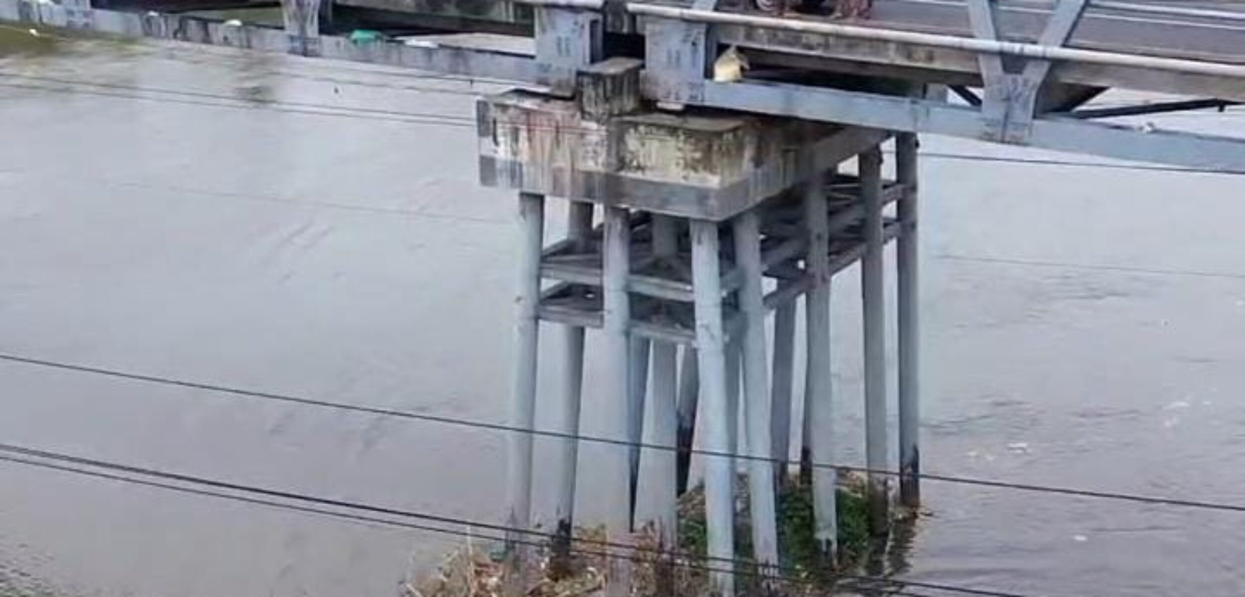 Sungai Brantas Jombang Belum Aman, Limbah Daging Berdarah Bikin Ahli Lingkungan Angkat Suara