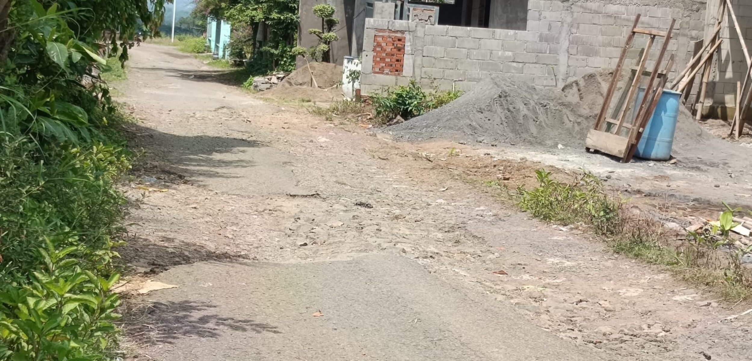 WhatsApp Image 2025 12 03 at 9.50.04 AM