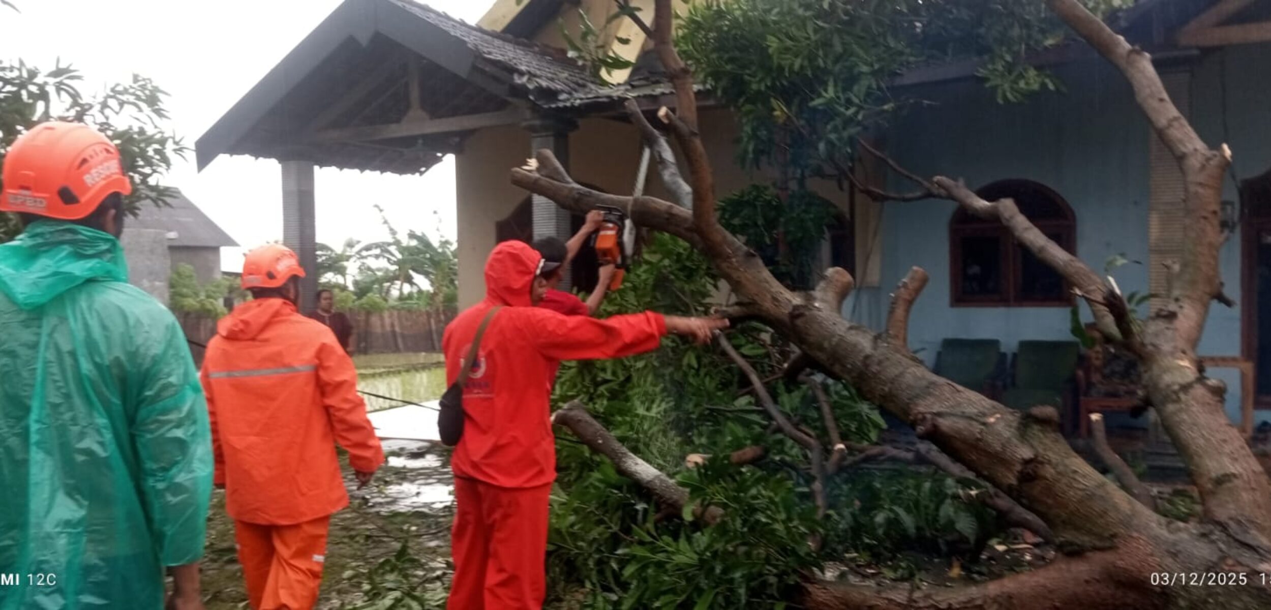 WhatsApp Image 2025 12 04 at 9.00.20 AM