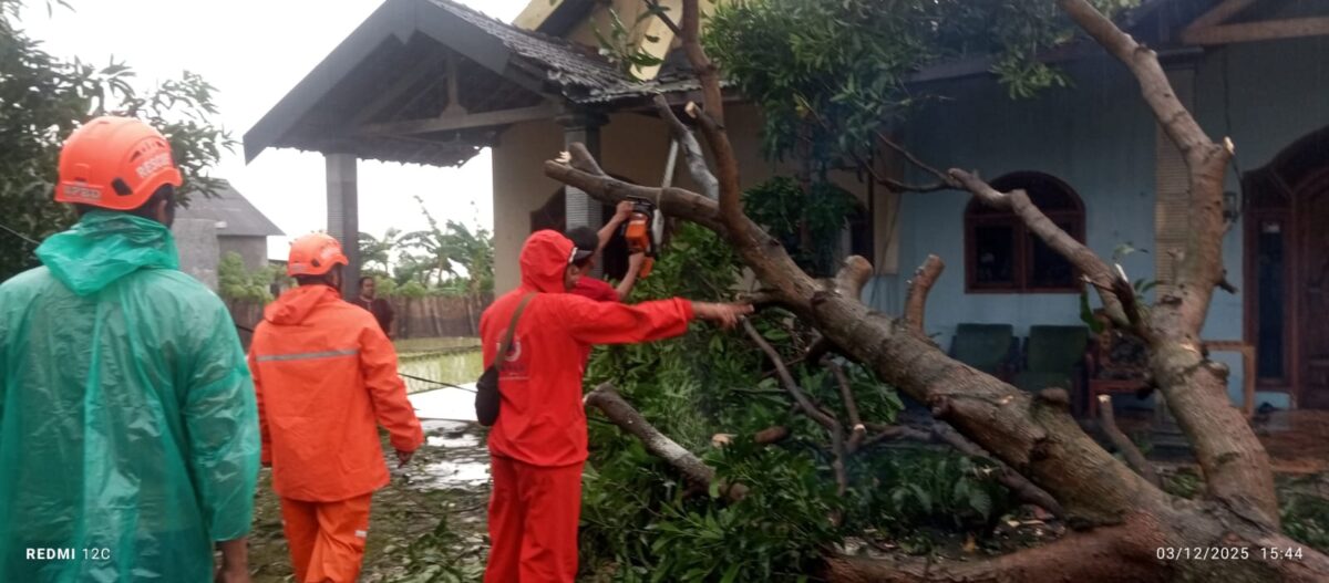 angin kencang di kutorejo mojokerto