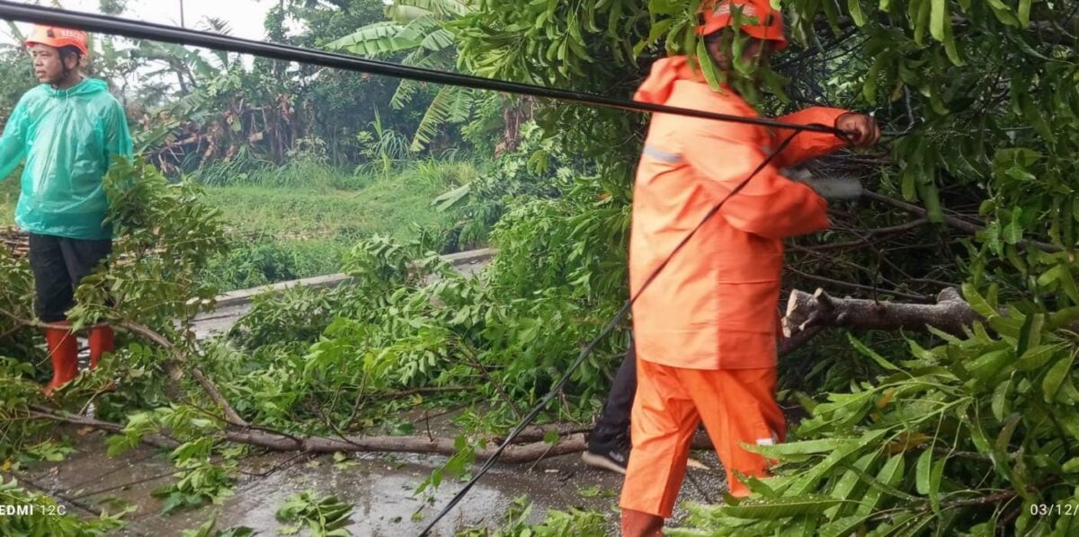 WhatsApp Image 2025 12 04 at 9.00.34 AM