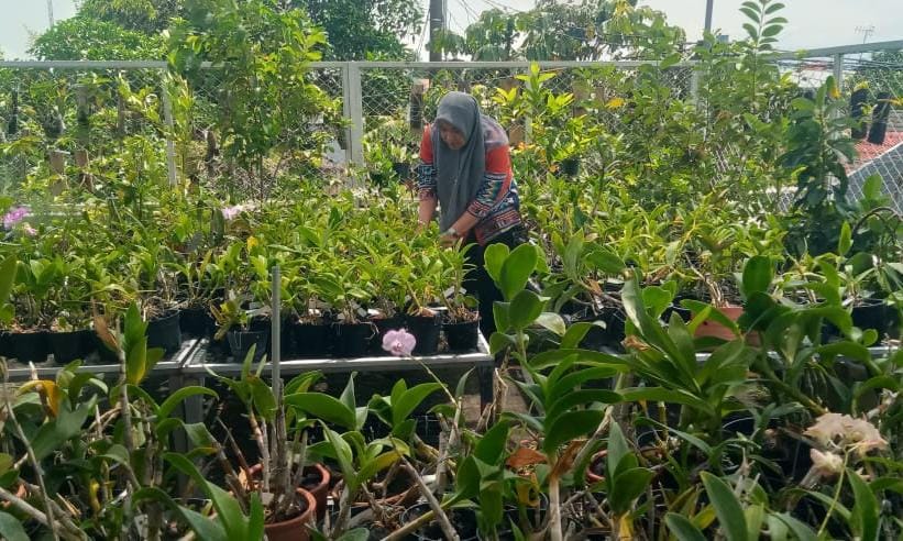 WhatsApp Image 2025 12 05 at 10.23.53 AM 1