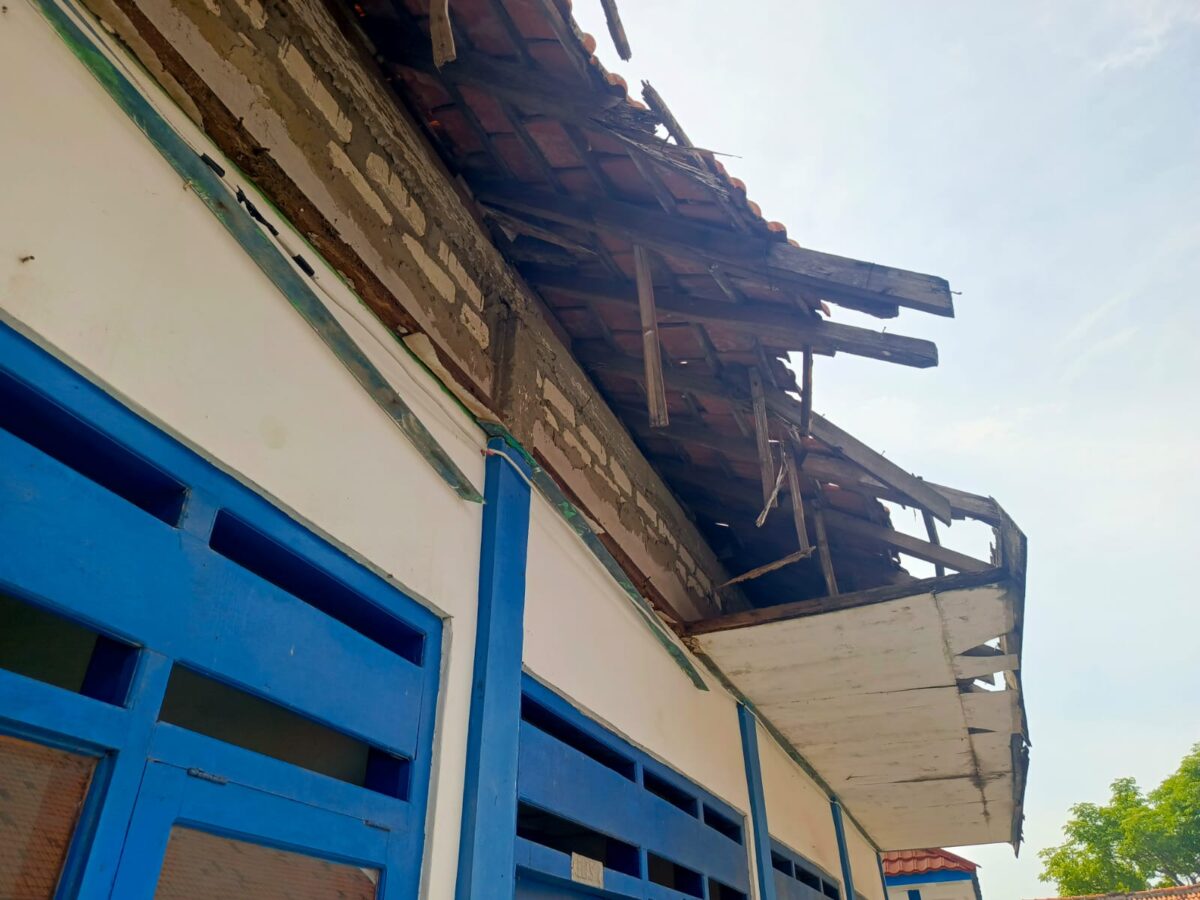 WhatsApp Image 2025 12 07 at 2.22.18 PM