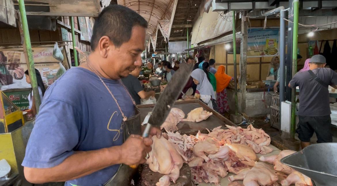 WhatsApp Image 2025 12 08 at 12.35.13 PM 1