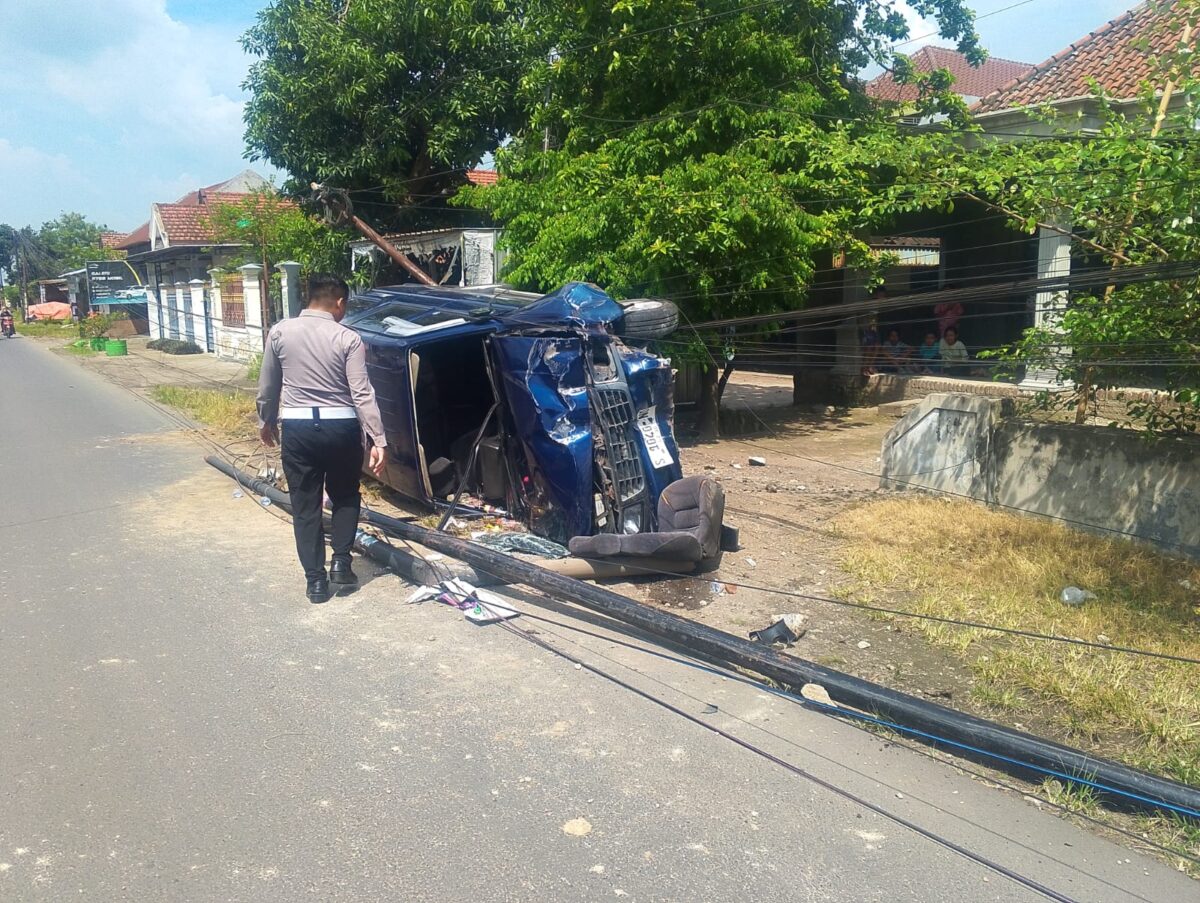 WhatsApp Image 2025 12 11 at 4.10.45 PM