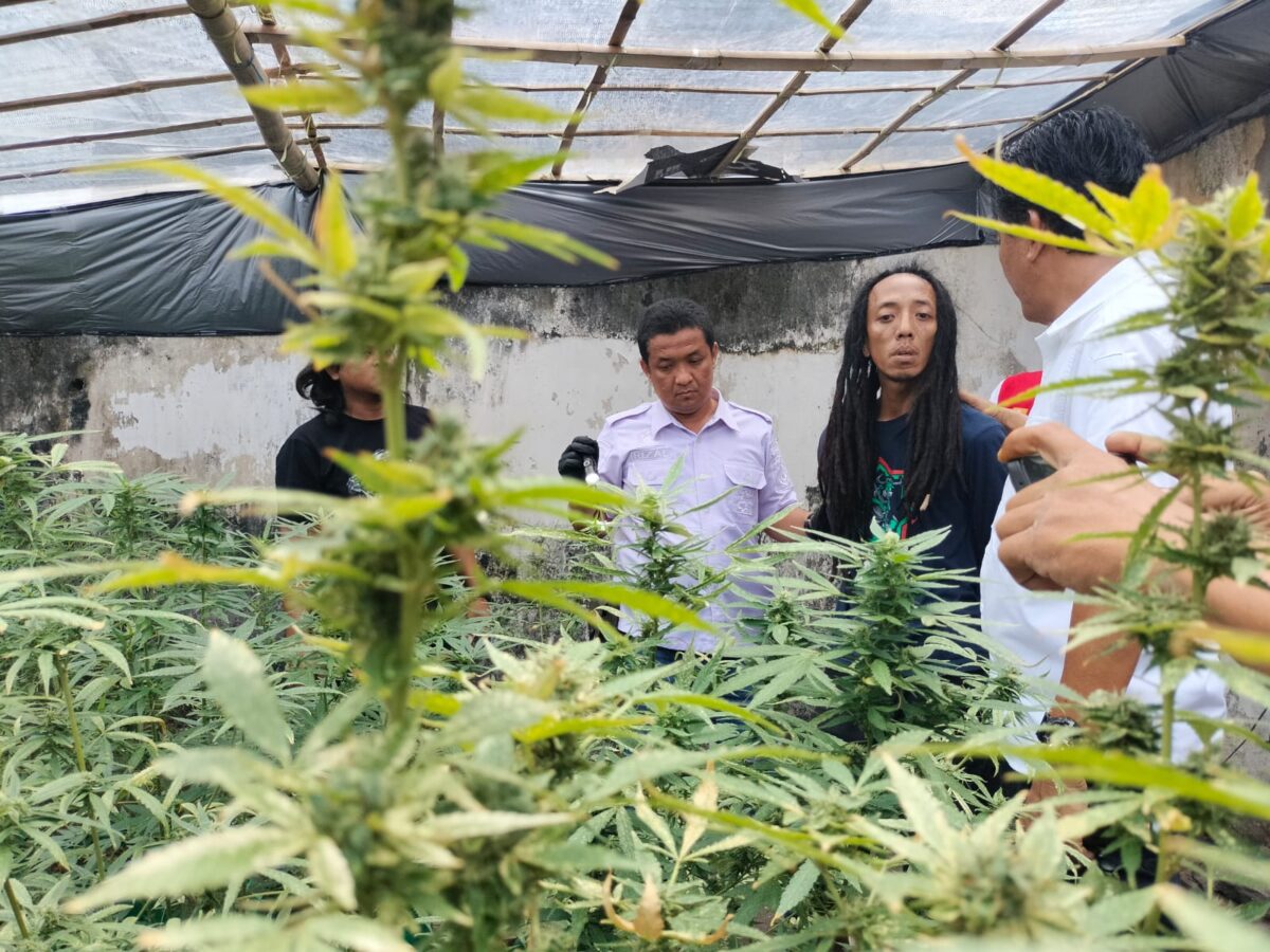 WhatsApp Image 2025 12 15 at 1.32.08 PM