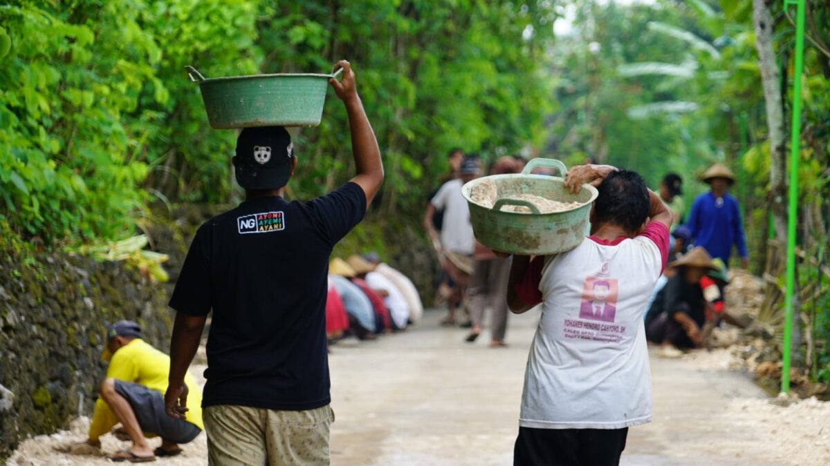 WhatsApp Image 2025 12 16 at 12.11.39 PM