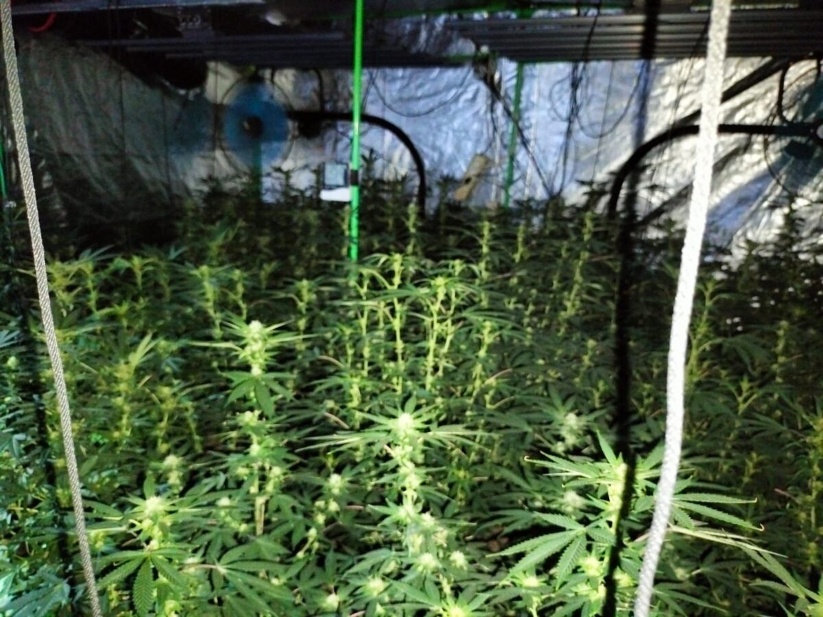 WhatsApp Image 2025 12 17 at 8.41.32 AM