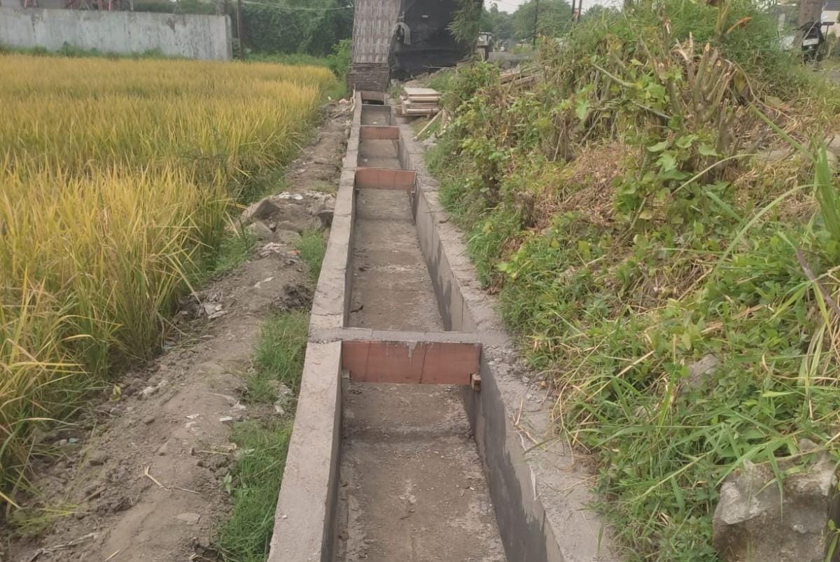 WhatsApp Image 2025 12 18 at 3.14.31 PM