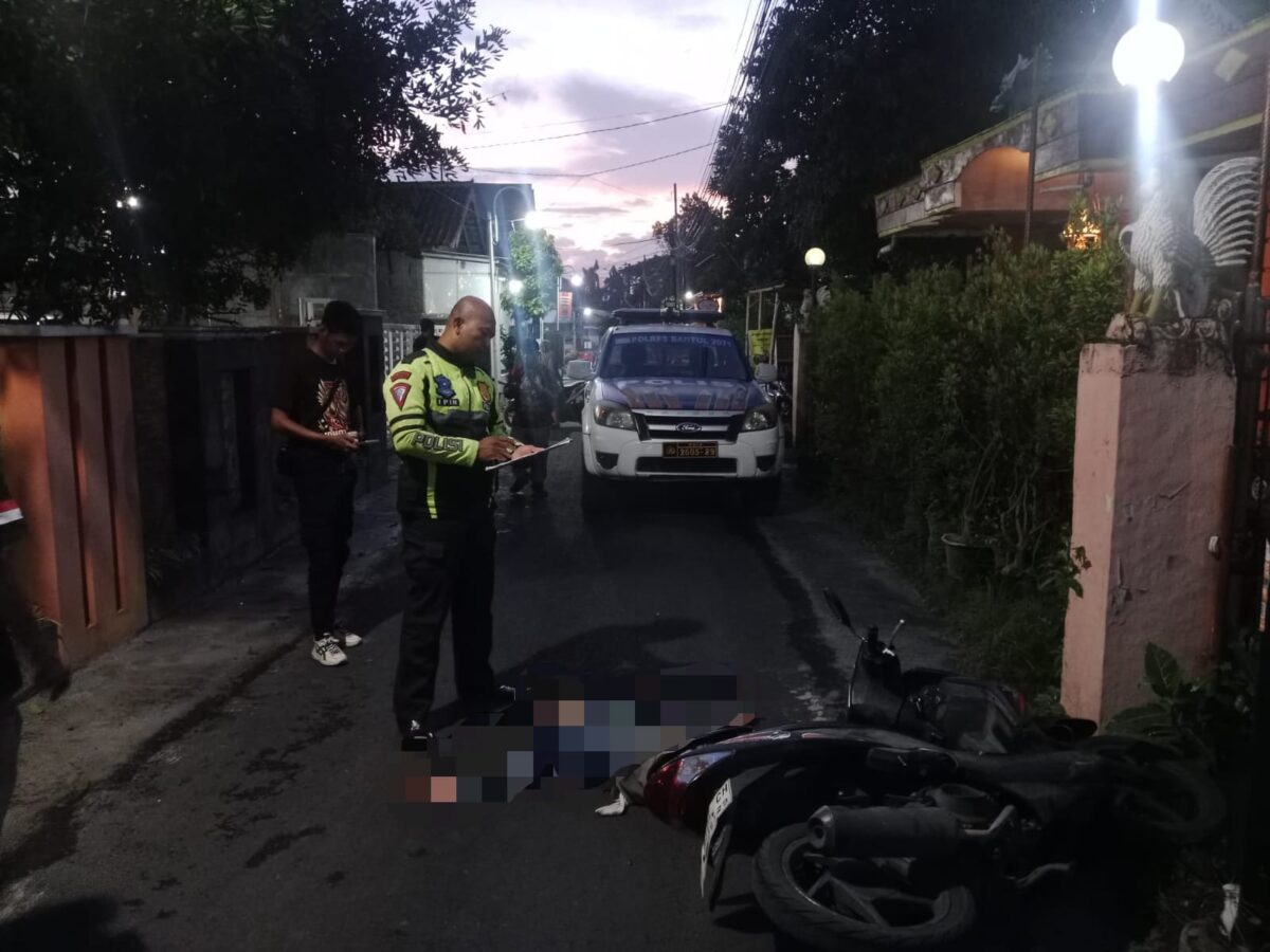 WhatsApp Image 2025 12 23 at 2.29.40 PM