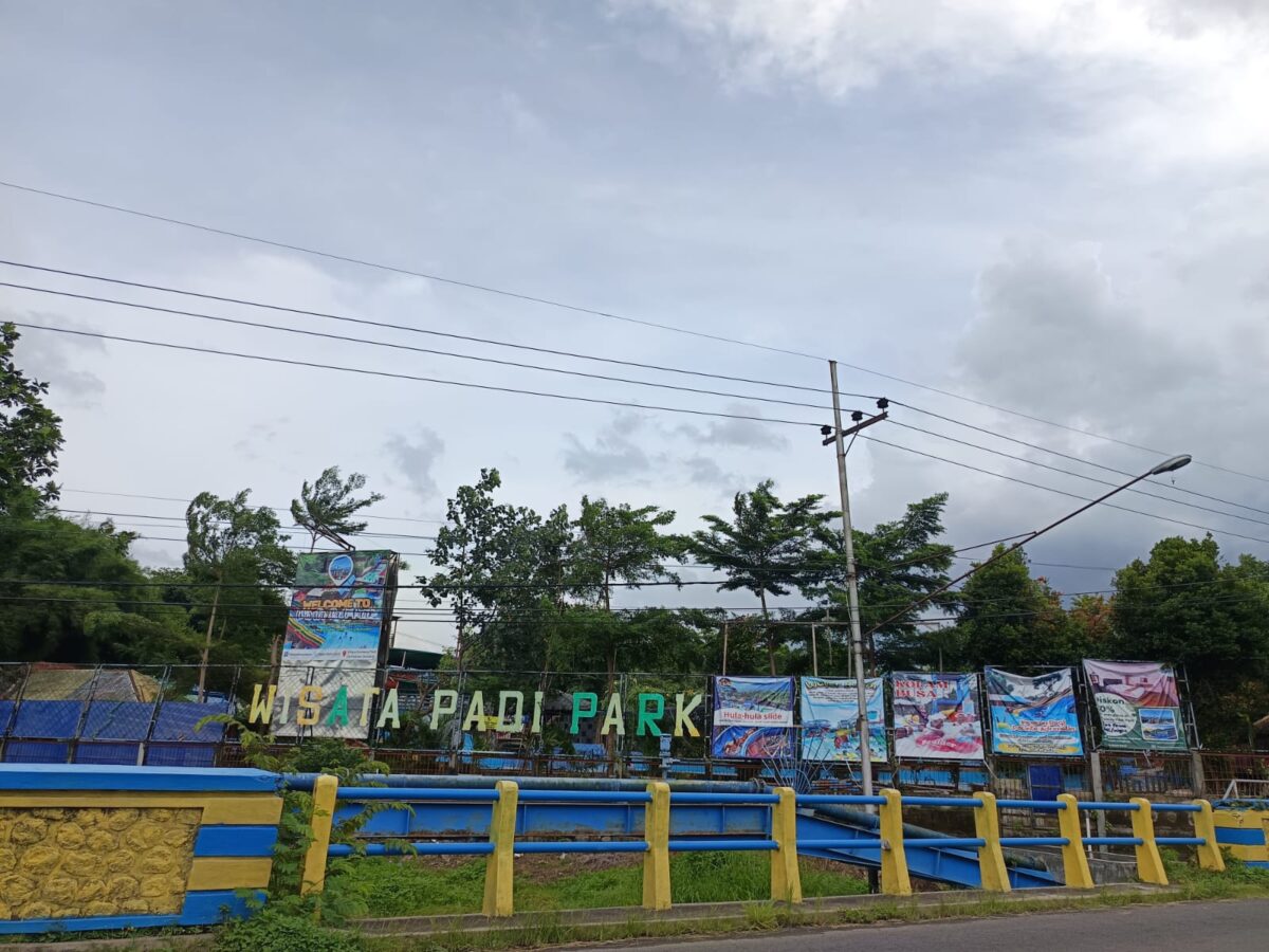 WhatsApp Image 2025 12 29 at 1.34.46 PM 1