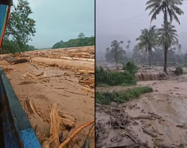 Misteri Tumpukan Kayu Gelondongan di Sumatra, Diduga Akibat Pembalakan Liar