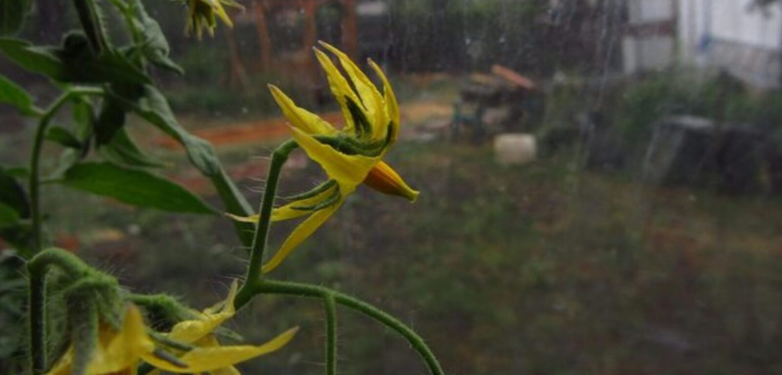 cuaca kota blitar hujan